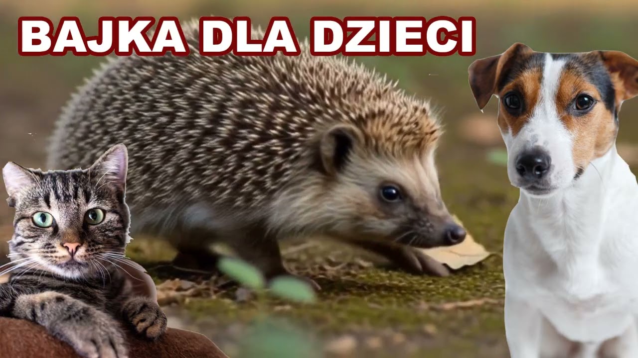 Bajka dla dzieci, piosenka. O małym jeżu, piesku i kotku. Nowość 2026