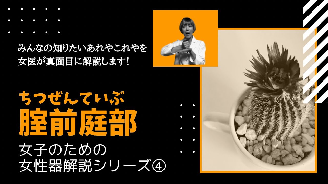 【気になる女性器シリーズ④】腟前庭部について