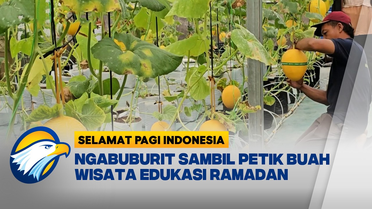 Petik Buah Jadi Wisata Edukasi Ramadan [Selamat Pagi Indonesia]