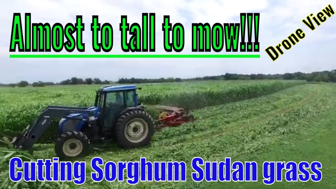2024 HayGrazer Mowing