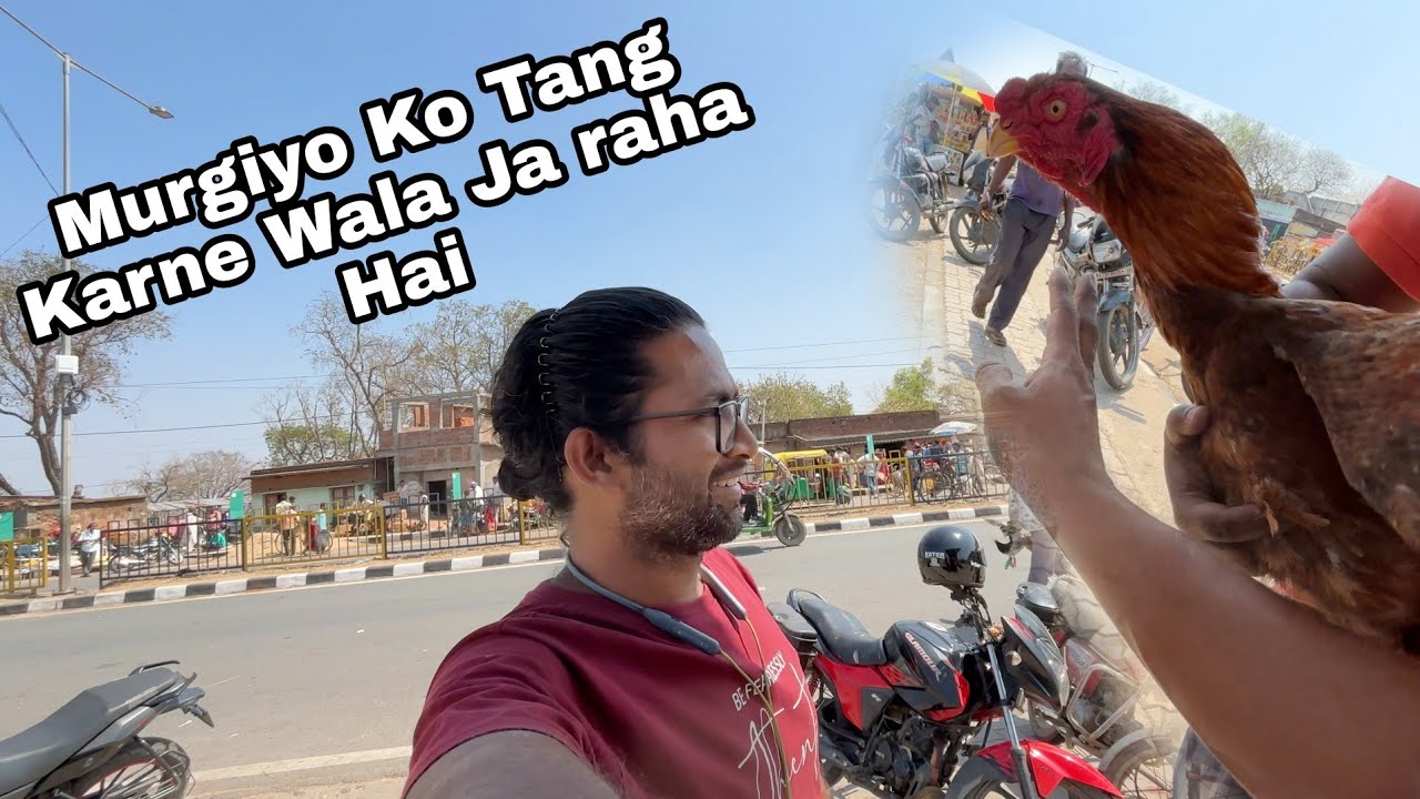 Murgiyo Ko Tang karne wala ja raha  farm se ||
