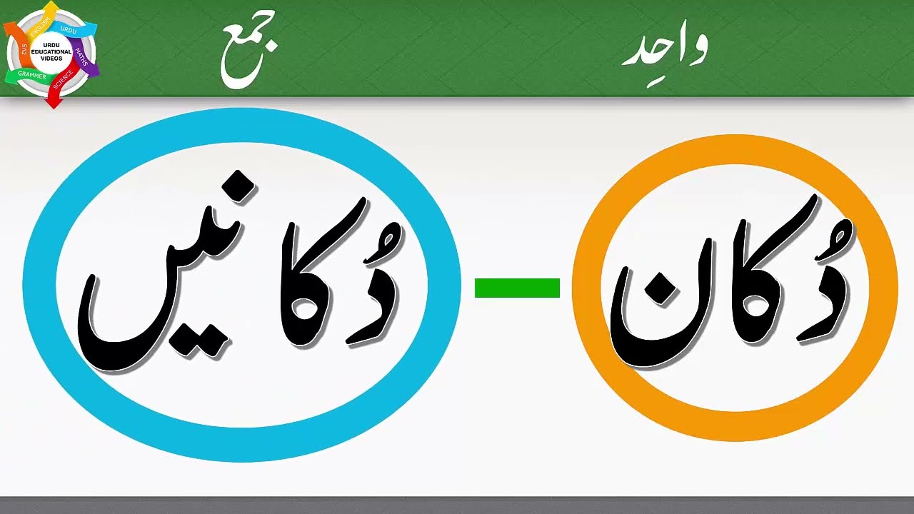 Wahid Jama||واحد جمع||Singular Plural in Urdu||