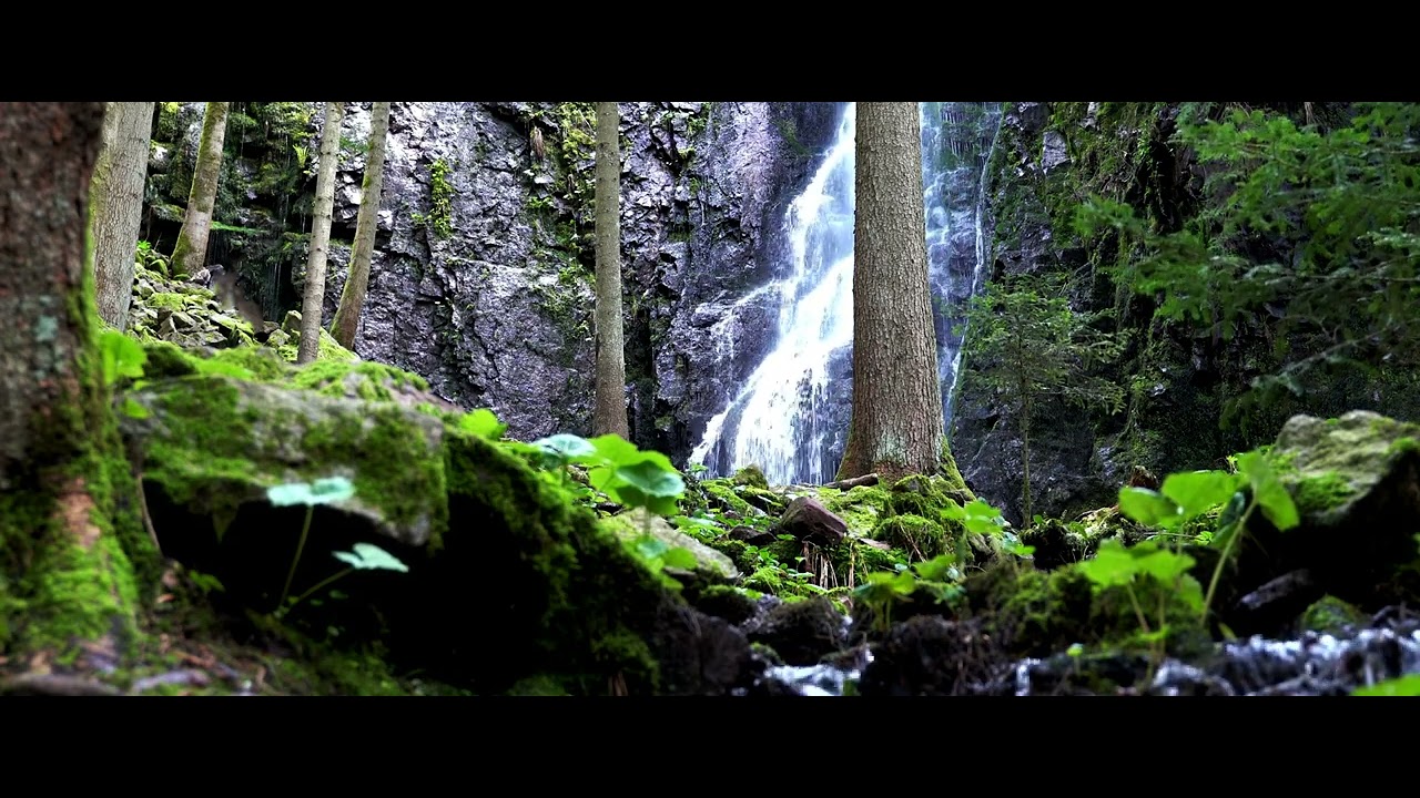 Waterfall in the Black Forest