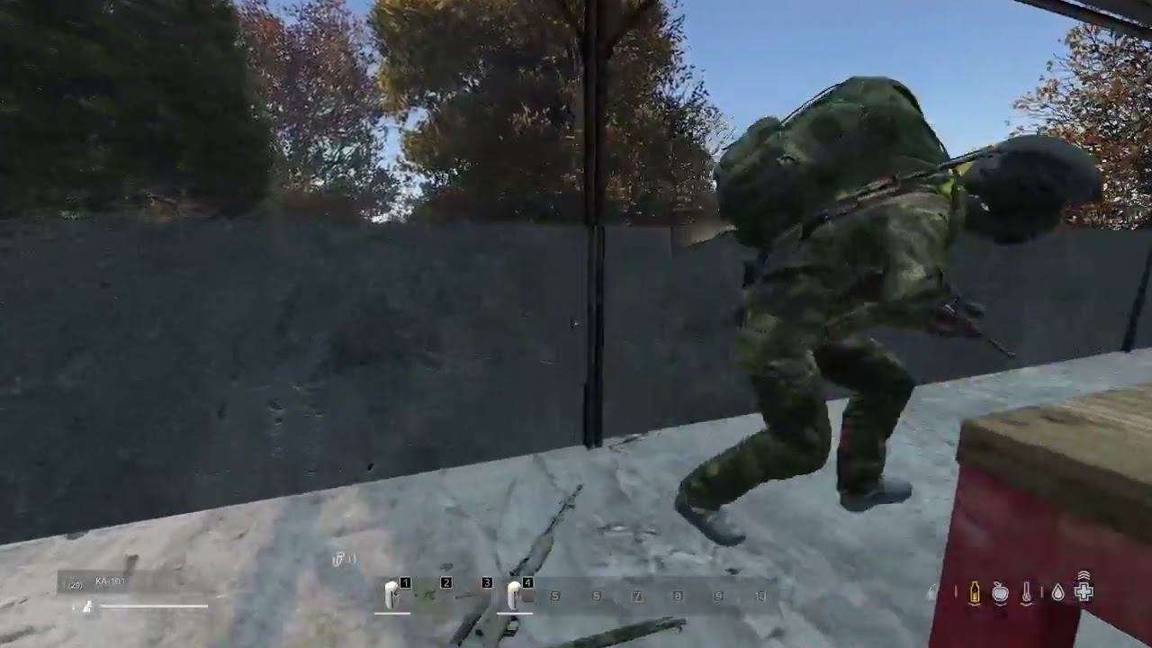 Dayz