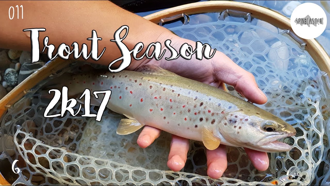 Angeln auf Bachforelle | Fishing for Brown Trout | Trout Season 2017 VI