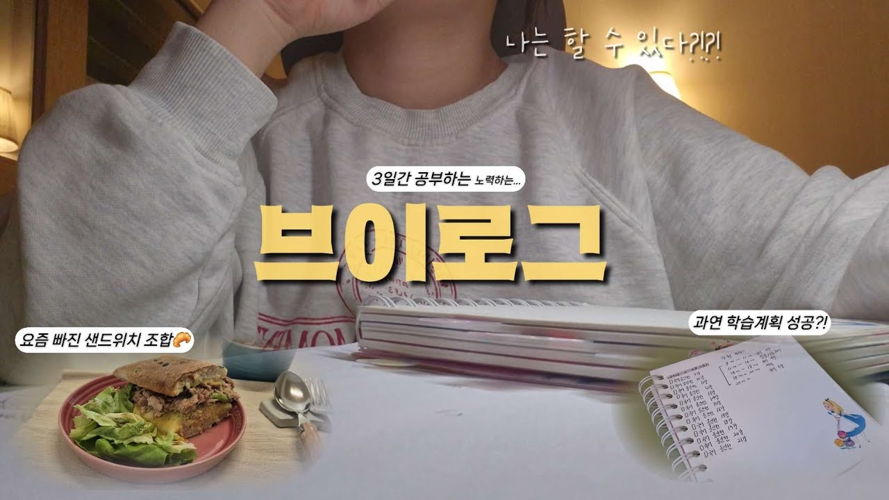 @IMSODIM [현실 직장인의 브이로그] 3월 공휴일 3일 동안 공부의지만 뿜뿜한 직장인의 휴일|3일 집밥 먹방|마라탕|바질치즈샌드위치조합|던킨도넛|두쫀쿠