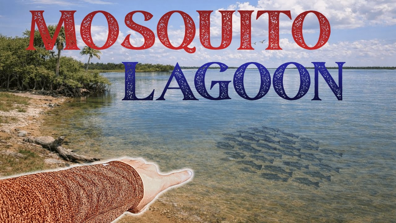 EVERY CAST WAS A BITE! 🤯 Mosquito Lagoon Winter Cold Front CHAOS