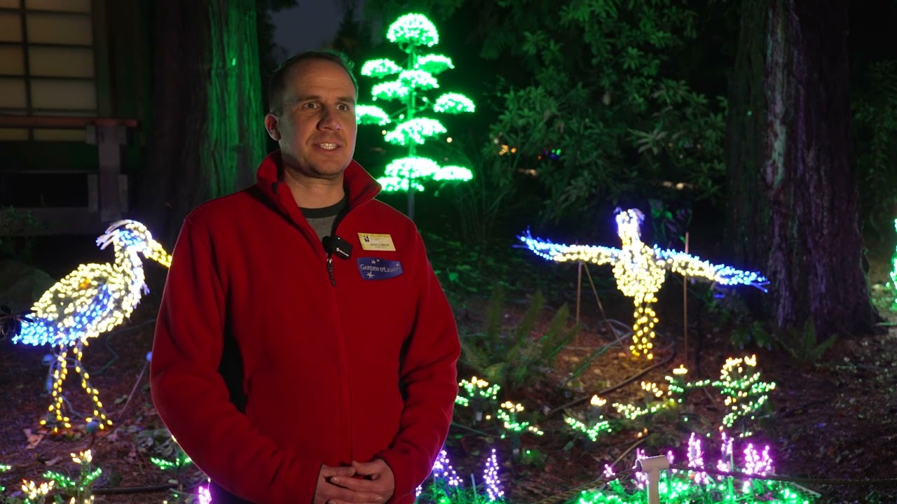 Take a stroll through Garden d'Lights