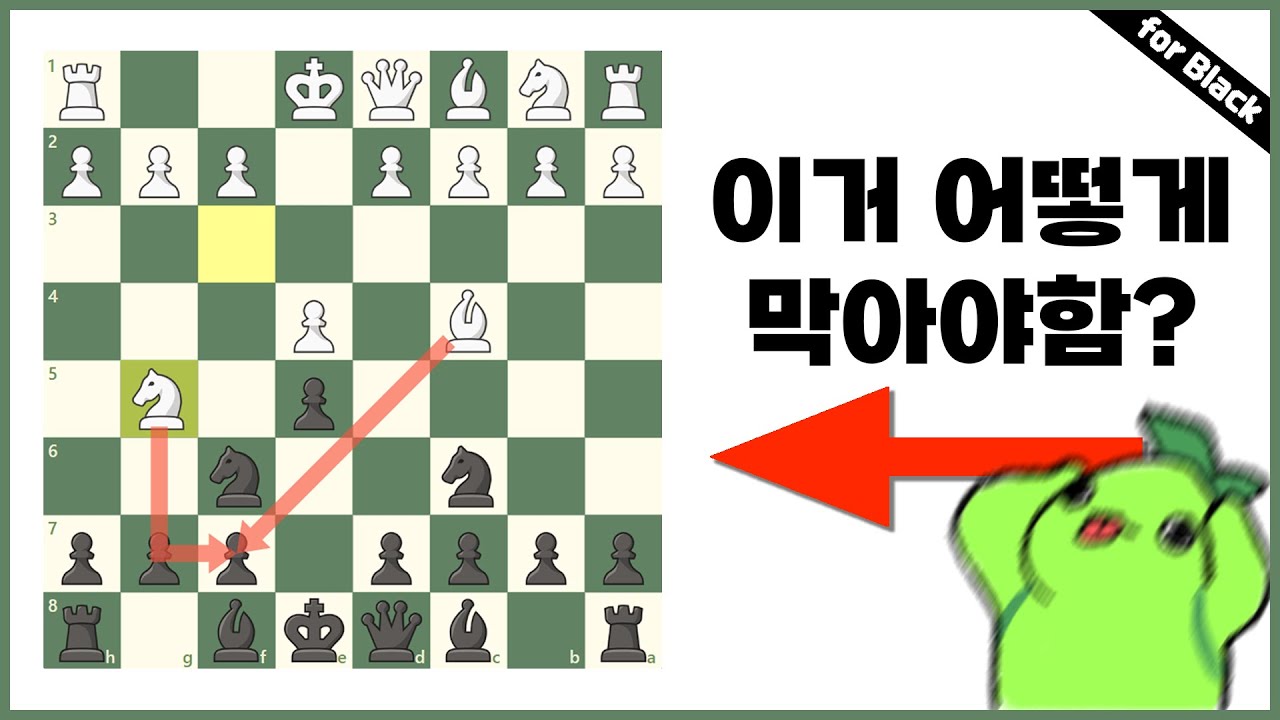 정석으로 막아버리는 방법 [이탈리안 Ng5]
