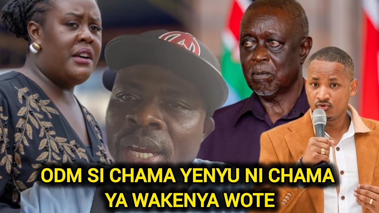 GAUCHO DESTROYS WINNIE ODINGA, OBURU ODINGA & OTHER ODM LEADERS OVER ODM PARTY NI CHAMA YA WAKENYA