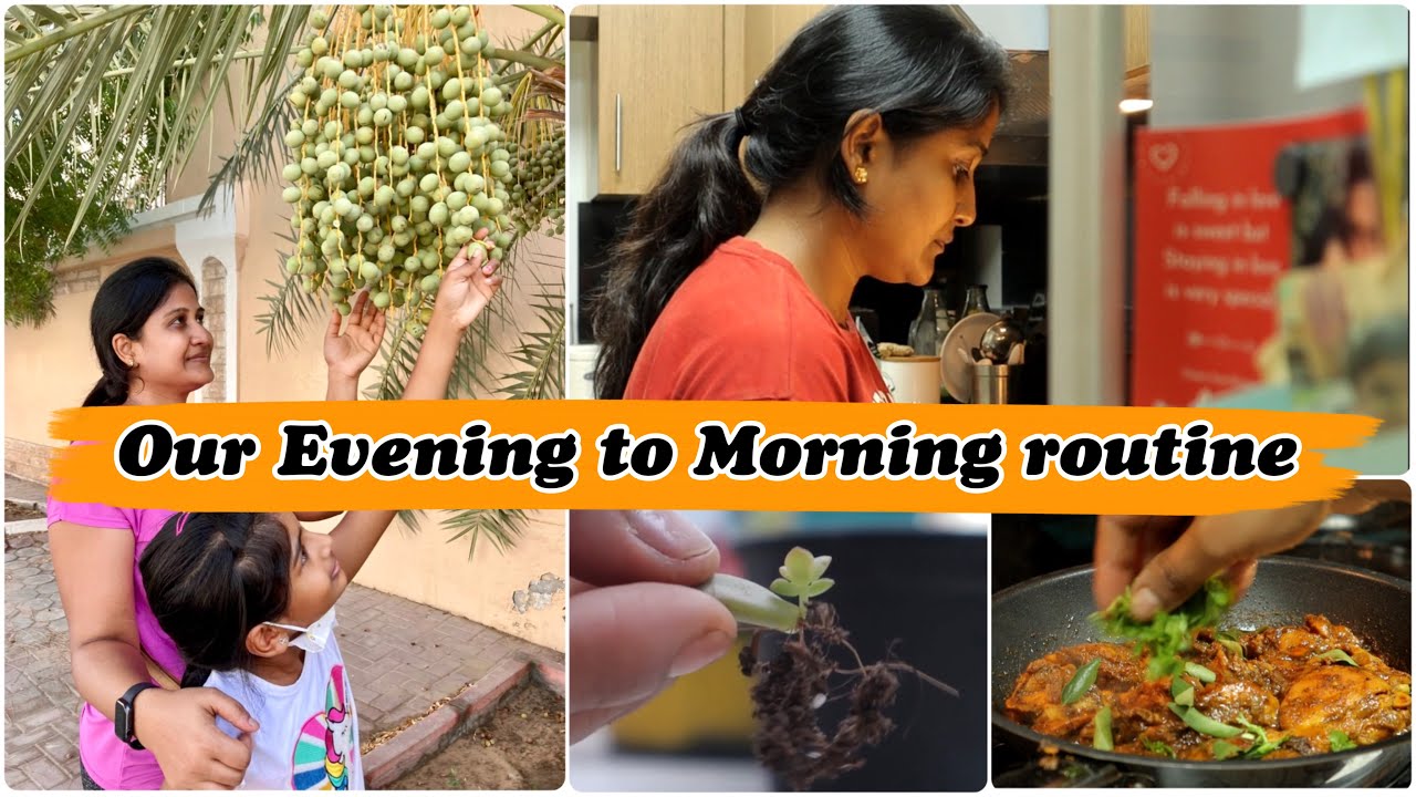 Our Evening to Morning Routine| Cooking delicious & healthy meal| how to grow succulents from leaf