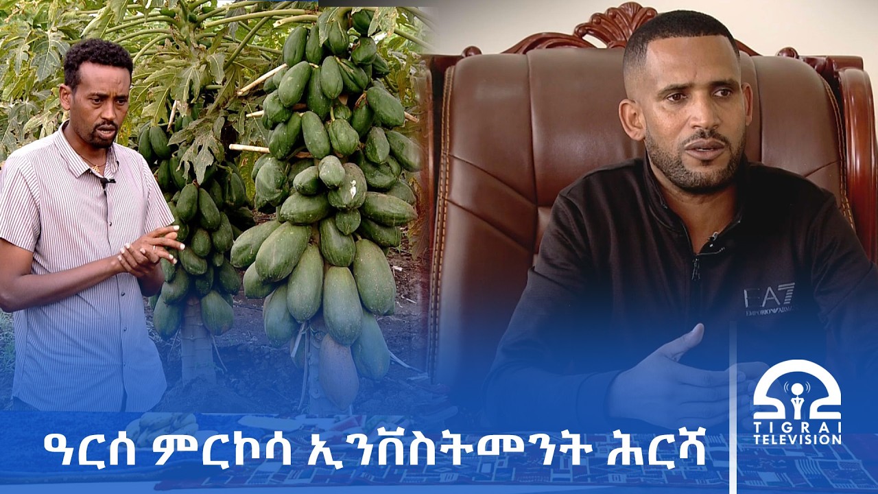 ዓርሰ ምርኮሳ ኢንቨስትመንት ሕርሻ፦(ኻሊእ ገፅ ዘርኡ ቢዝነስ ግሩፕ)