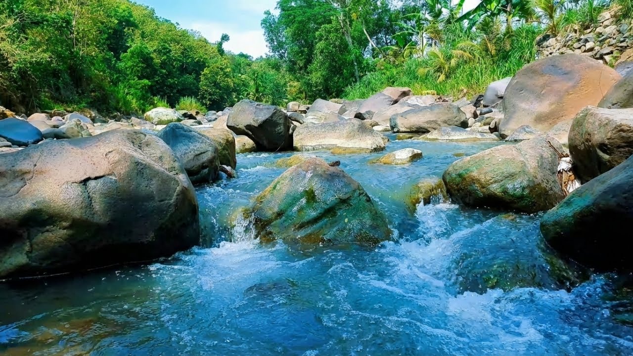River Sounds – Gentle Water Flowing in Nature