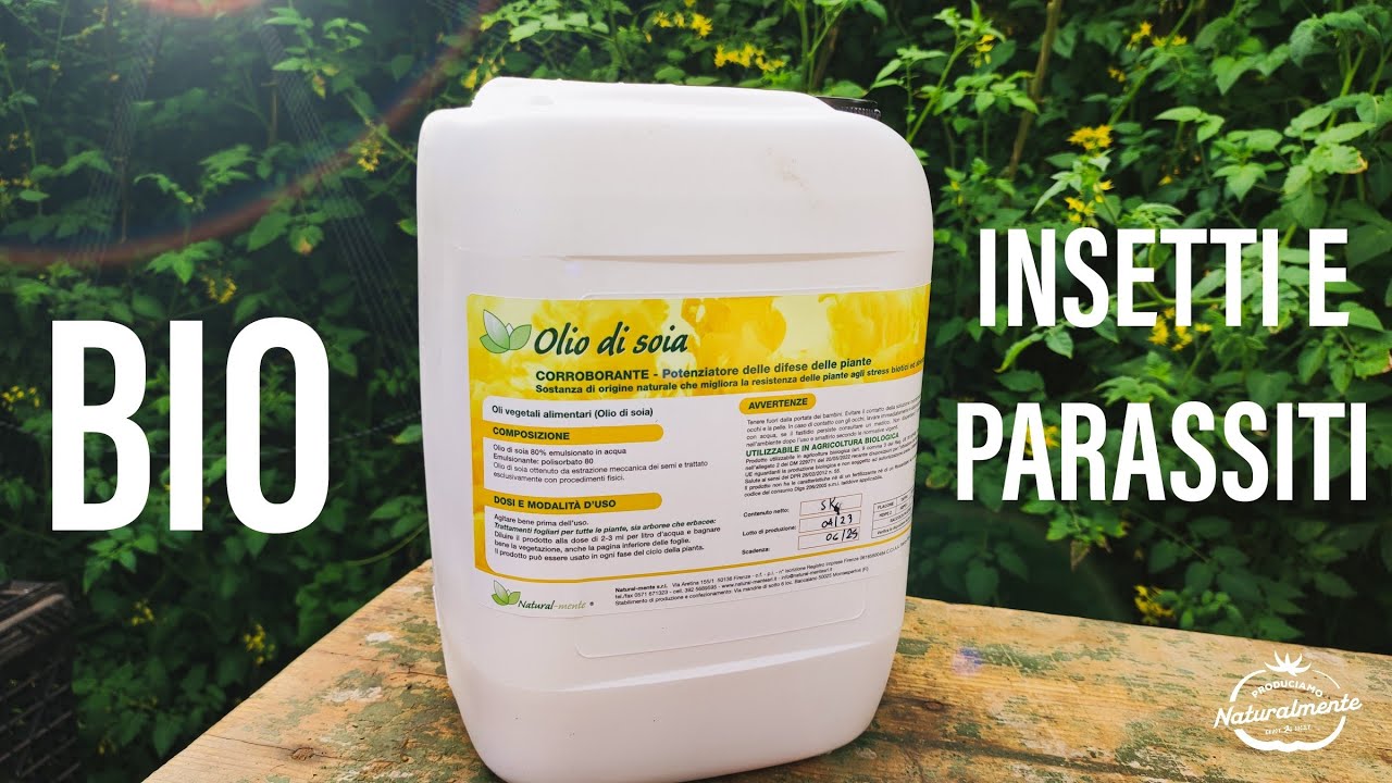 Nuovo Olio di Soia solubile per il controllo di insetti e parassiti