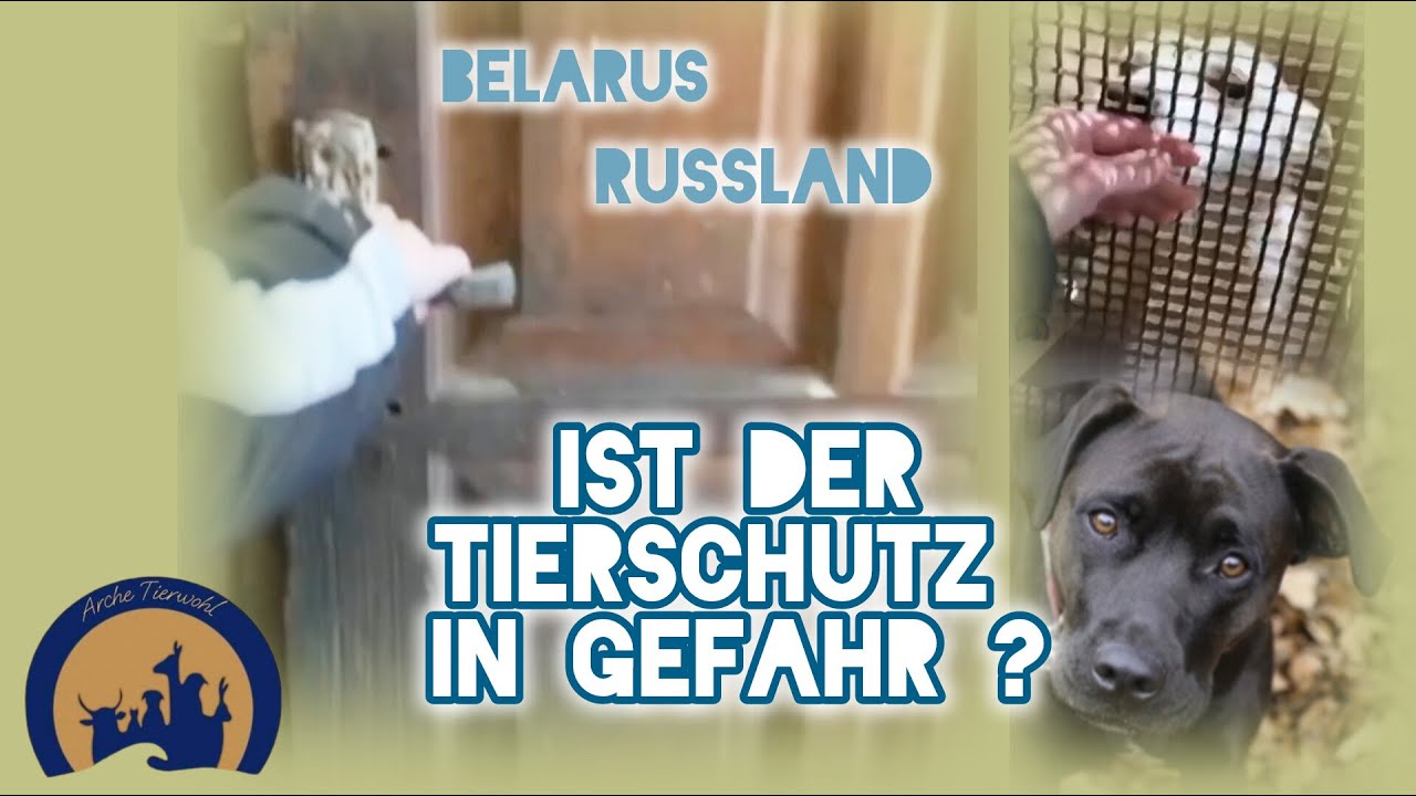 Versch&auml;rfungen erschweren Adoptionen aus Belarus und Russland