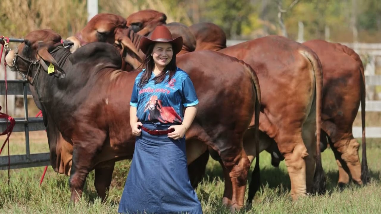 พ่อพันธุ์ประจำ CW Ranch