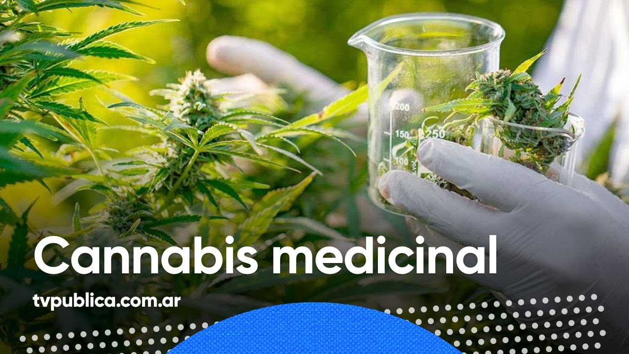 Cannabis medicinal para tratar el síndrome de abstinencia - Mañanas públicas