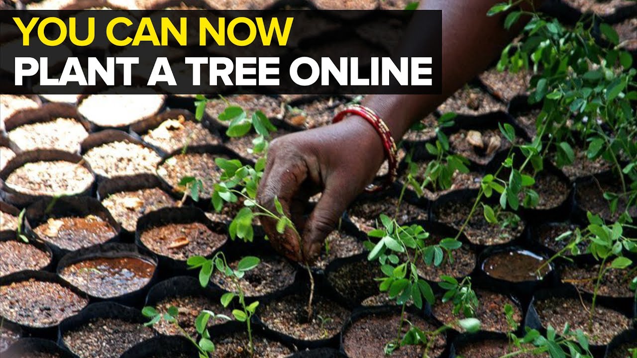 Making the world green again, with a single click