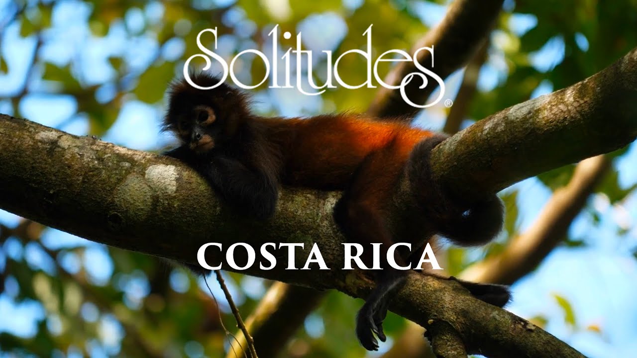 Dan Gibson’s Solitudes - Forest Legend | Costa Rica