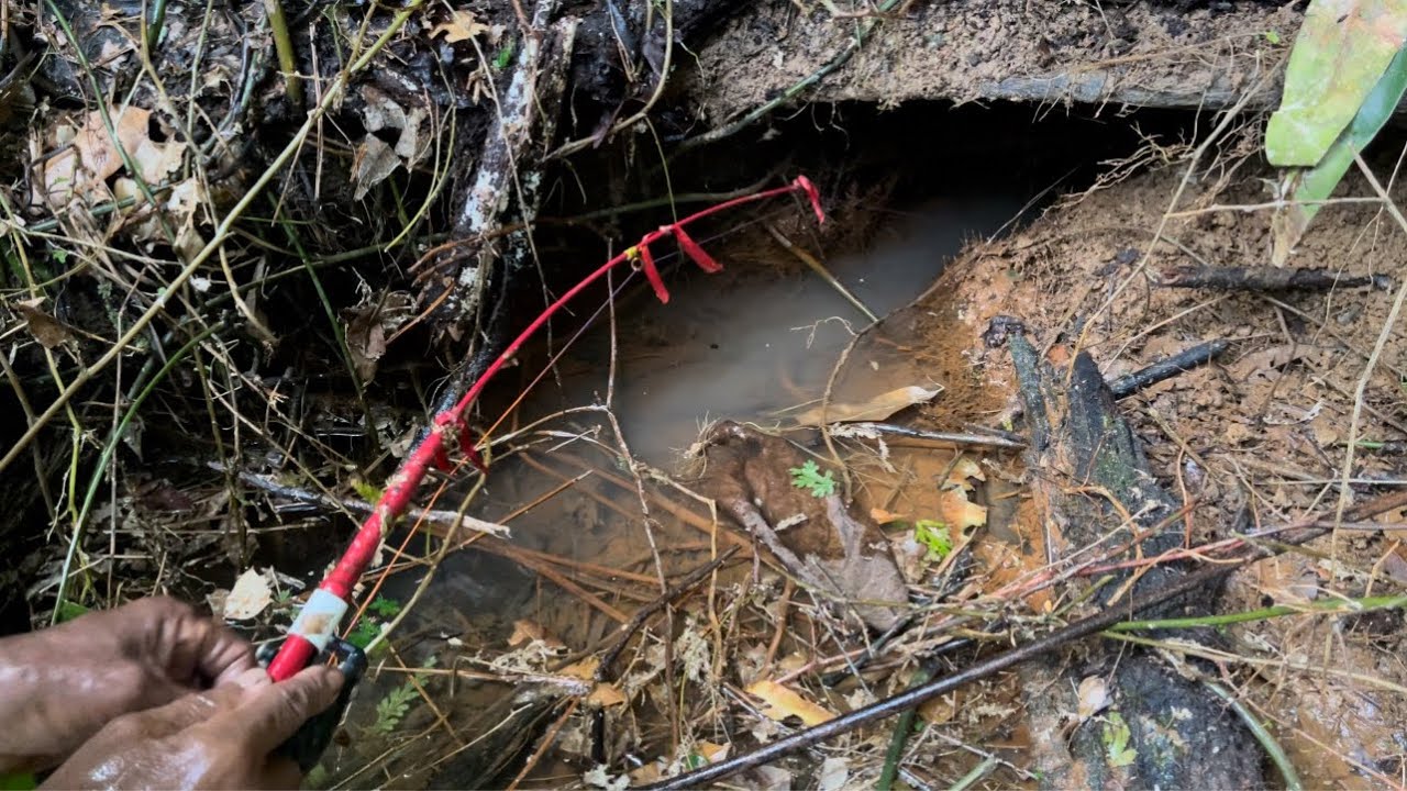 BERTAHUN TAHUN TIDAK DITEMUKAN MANUSIA LUBANG INI ISI NYA LENGKAP ADA IKAN LELE & LEMBAT