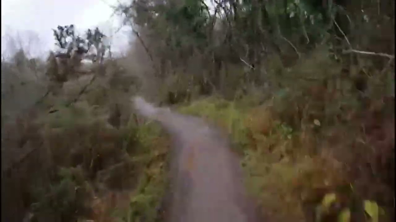 MTB At Ashton Court