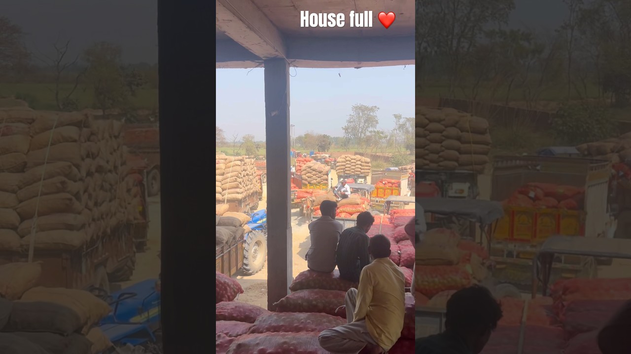 Housefull cold storage #viral #trending #highlight #subscribe #coldstore #housefull5 #trend #hits