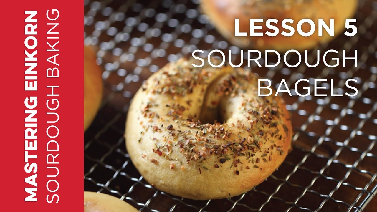 Einkorn Sourdough Bagels - Mastering Einkorn Sourdough Baking: Lesson 5