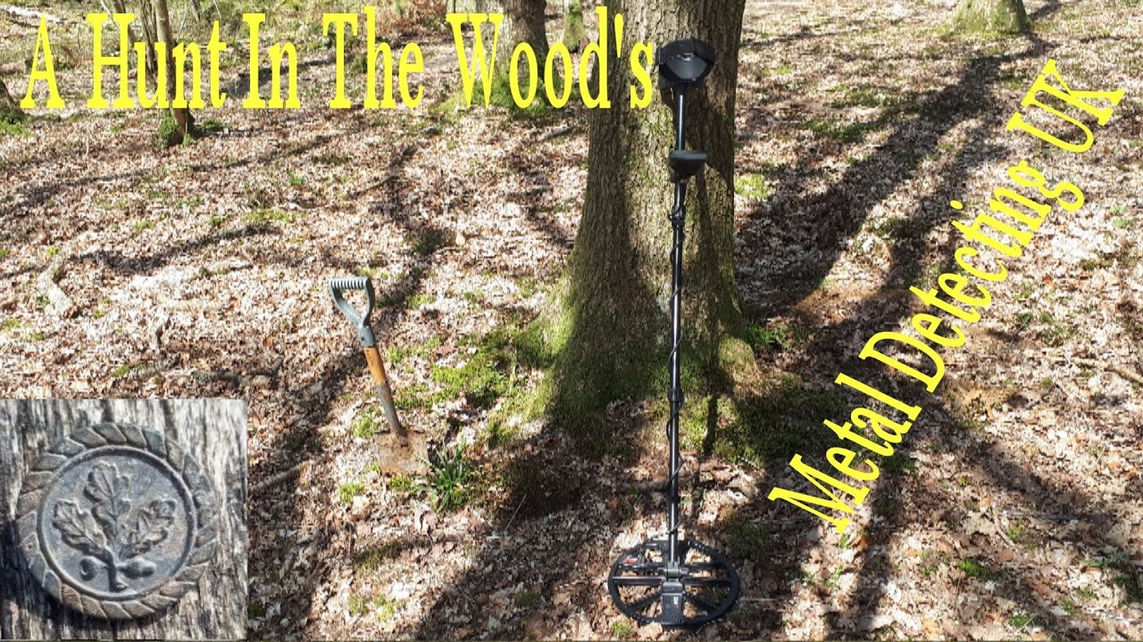 Metal Detecting UK - A Hunt In The Wood's