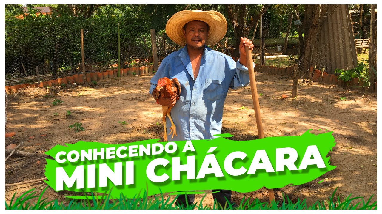 PRIMEIRO V&Iacute;DEO DO CANAL *MINEIRO VLOG*