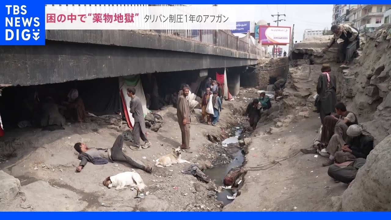 「地獄どころの騒ぎじゃない」貧困のなか…橋の下に“薬物地獄”があった　タリバン制圧1年のアフガンを緊急取材｜TBS NEWS DIG