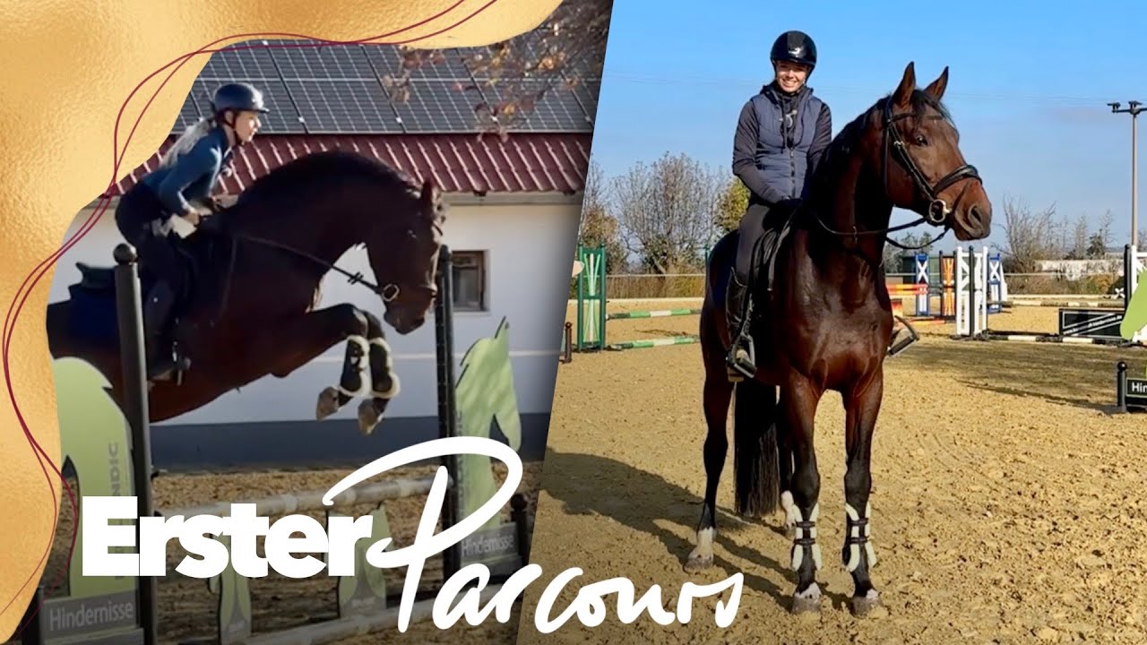 Junge Pferde an bunten Parcours gewöhnen | Springtraining mit Dilavar