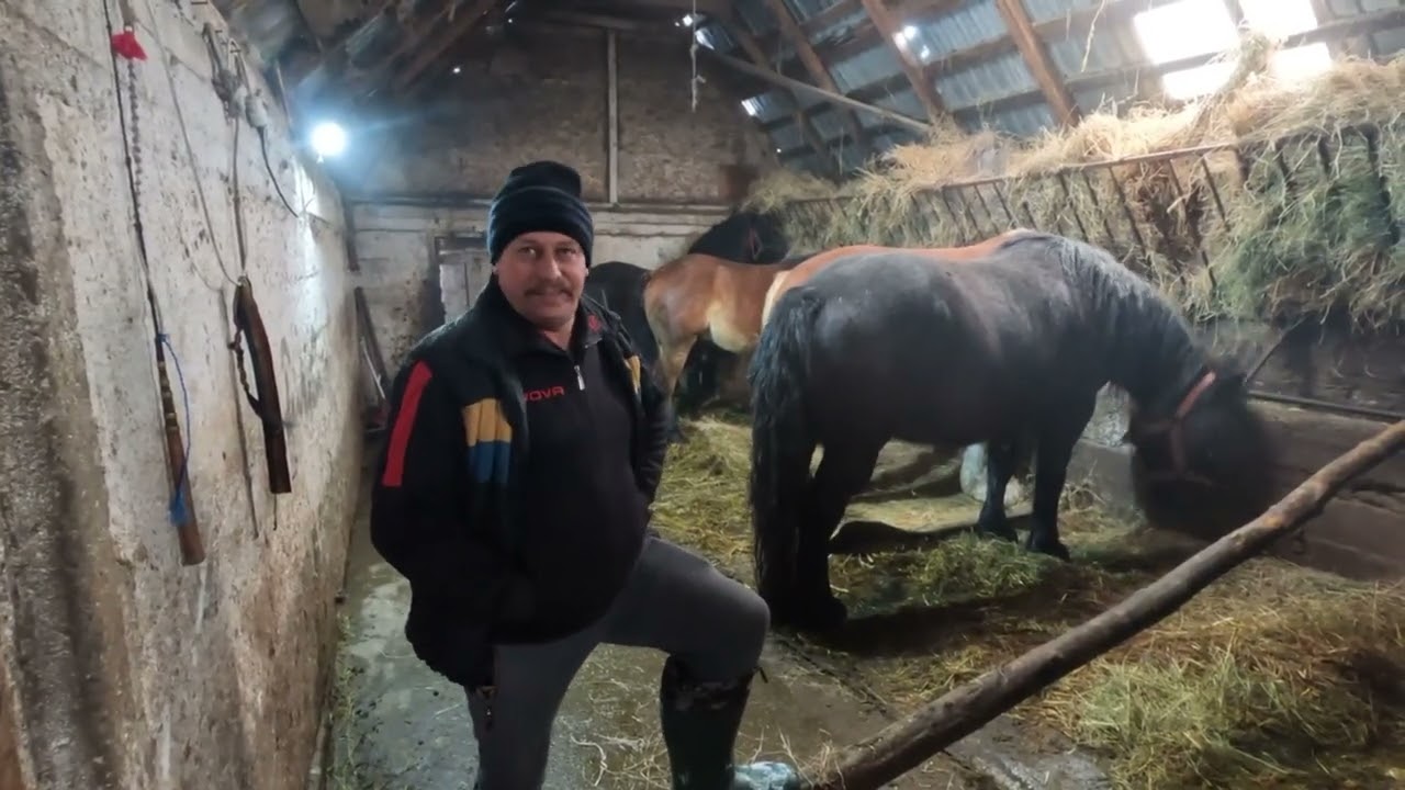 Caii Lui Pancica din Sărmașu.Munca la Țară .Daca Iti Sunt Dragi Animalele 