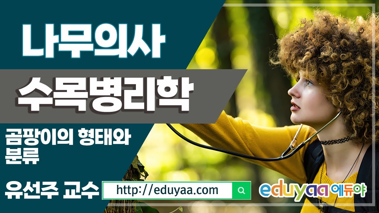 나무의사 수목병리학 유선주교수(곰팡이의 형태와 분류)