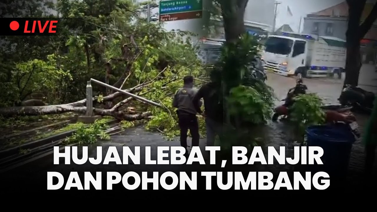🔴Hujan Lebat Disertai Angin Kencang Mengguyur Wilayah Bali Hingga Pohon Tumbang