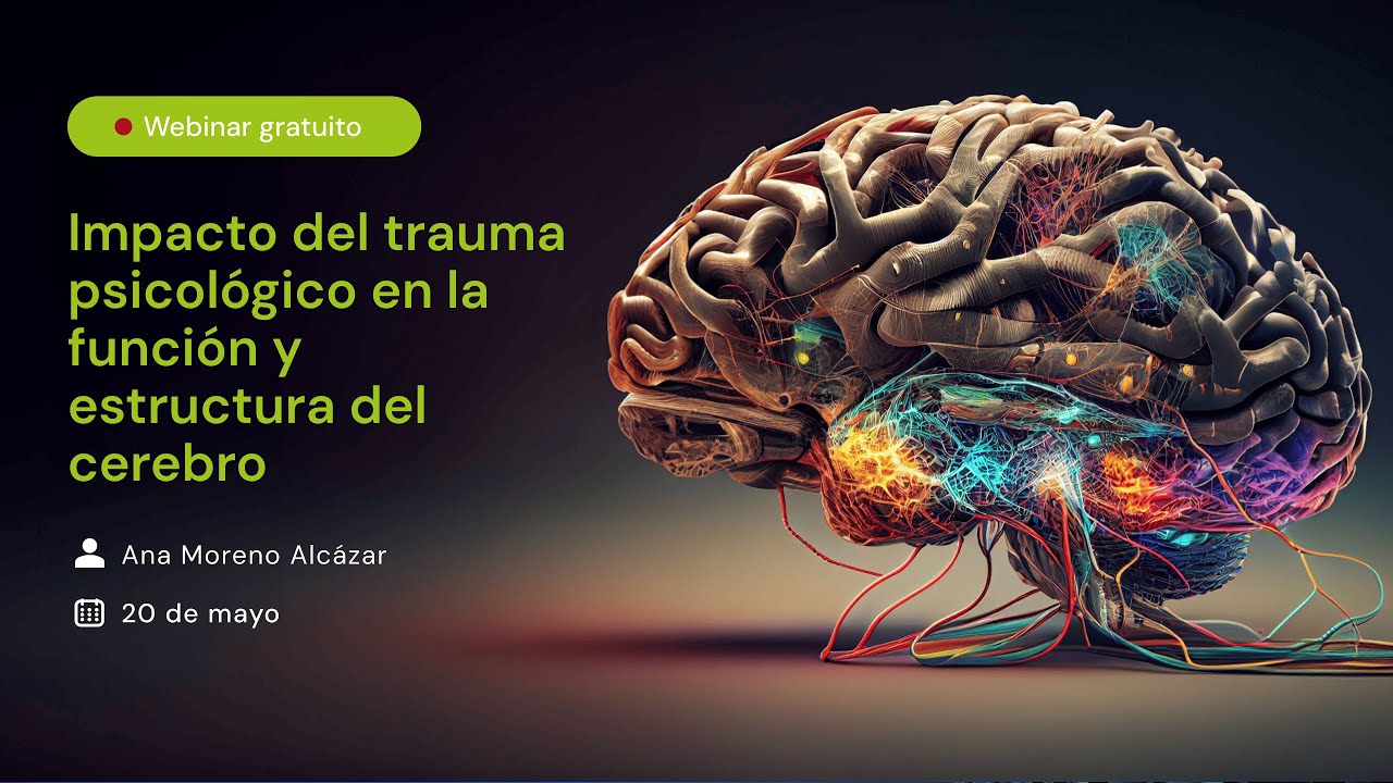 Impacto del trauma psicológico en la función y estructura del cerebro
