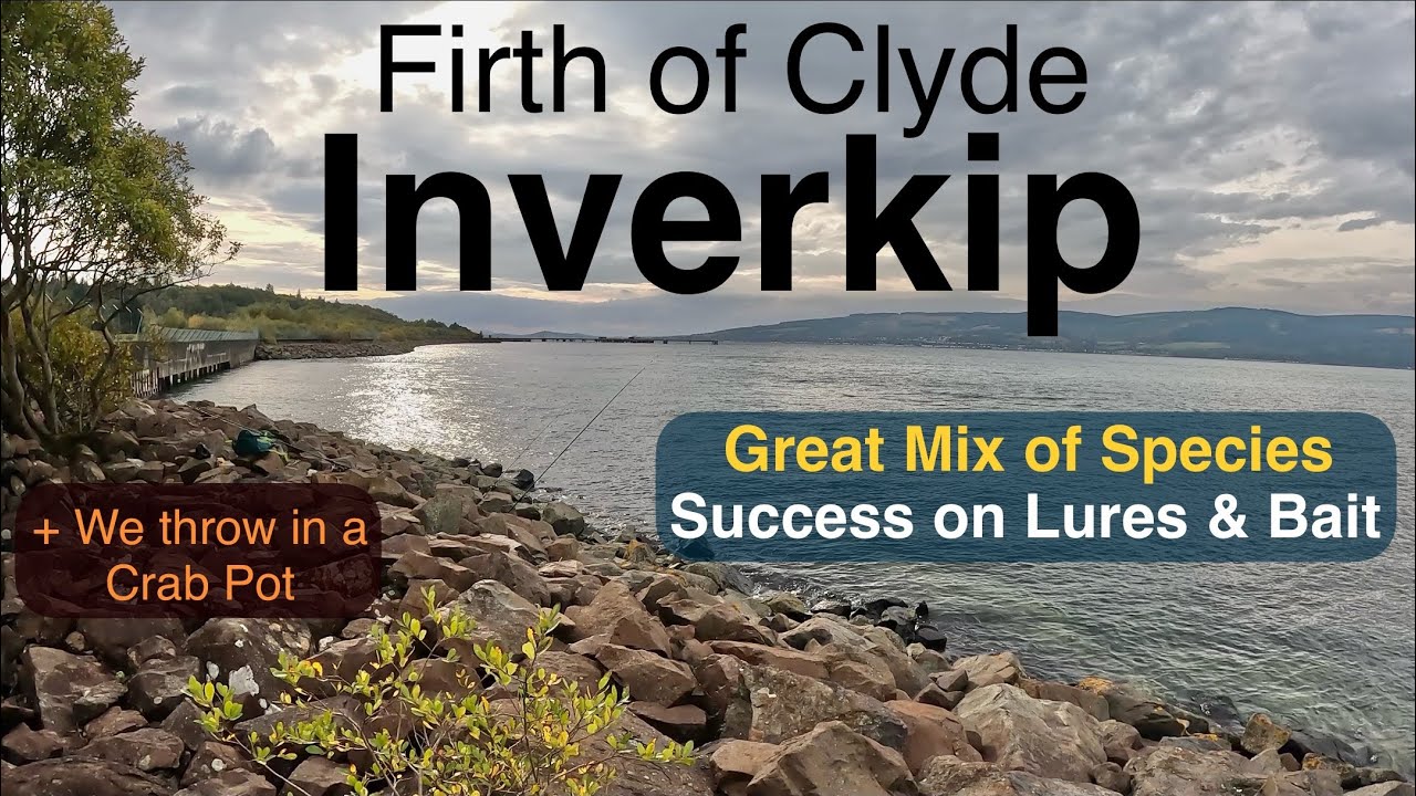 Sea Fishing Scotland - Firth of Clyde - Inverkip - Great Bait and Lure Session