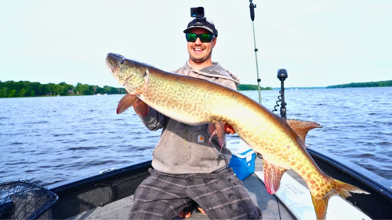 First CAST and Hooks a MUSKY - Huge fifty plus incher ( Five Fish Day)