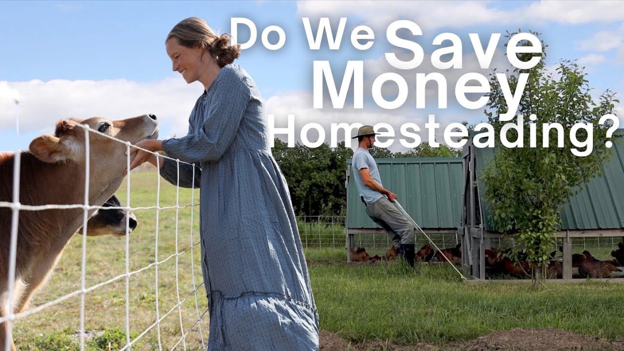 How much we spend on our 5 Acre Homestead!