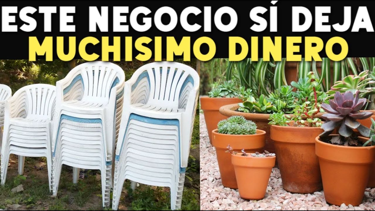 23 NEGOCIOS MUY FÁCIL Y SIN EXPERIENCIA QUE DEJAN MILES DE DÓLARES Y NO LO SABÍAS