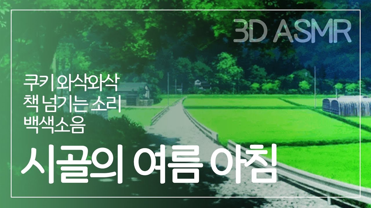 3D ASMR | 시골의 여름 아침, 쿠키 와삭와삭, 책 넘기기, 백색소음 | Summer Morning, Cookies Eating Sound