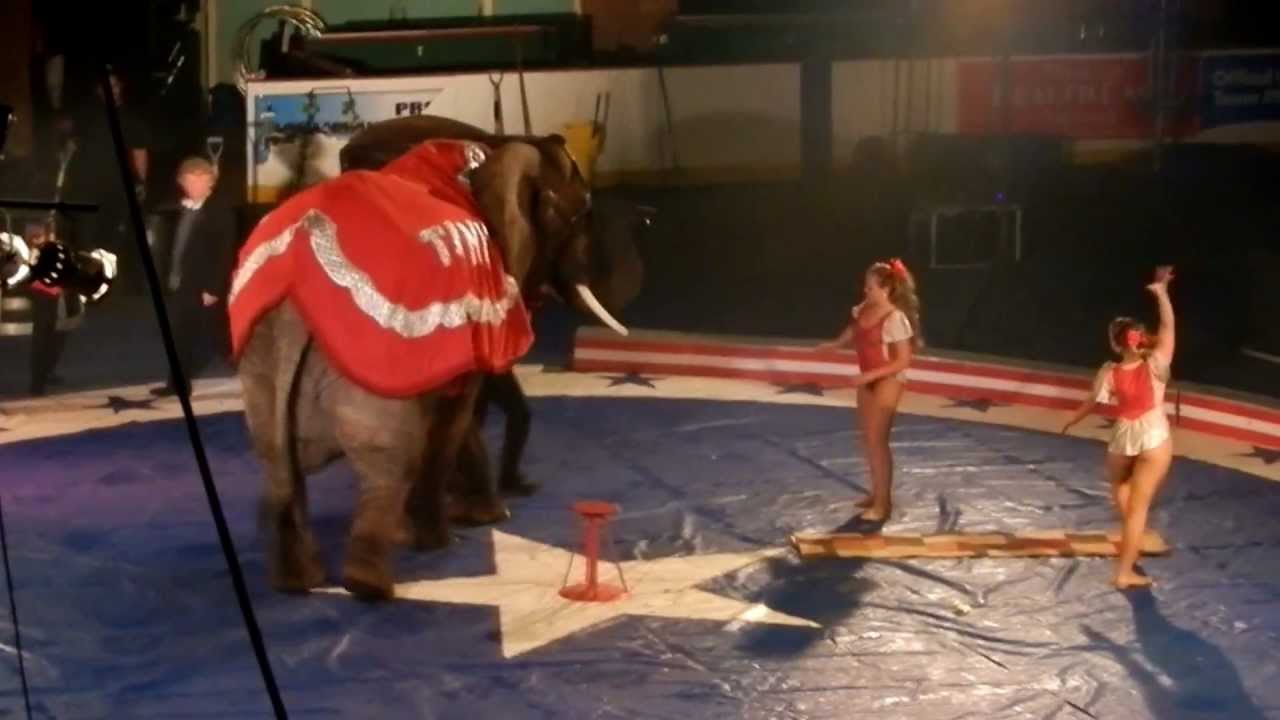 Jordan World Circus - Elephant Act