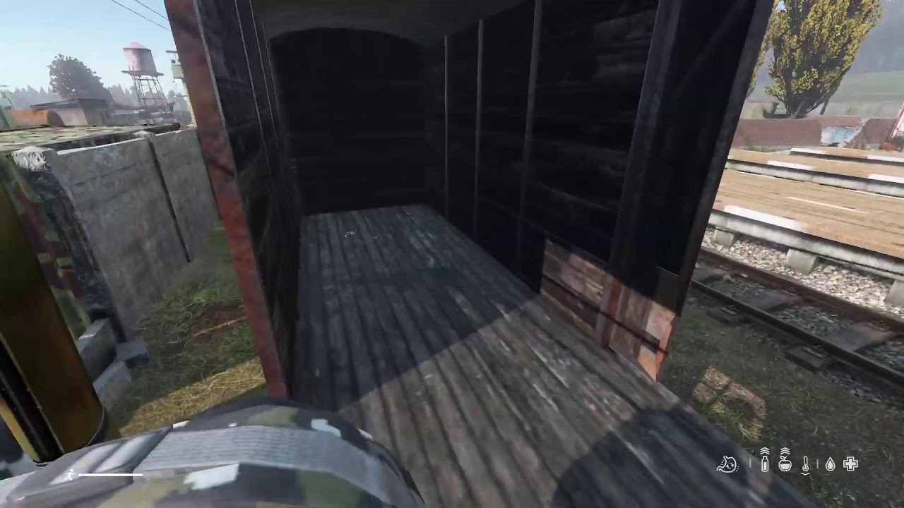 Dayz