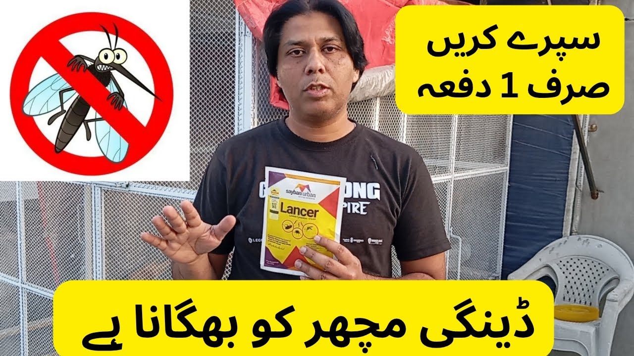 کبوتروں کو مچھروں کیڑوں سے بچاؤ کیلئے 1 دفعہ سپرے کریں  | 1 ماہ تک دوبارہ ضرورت نہیں پڑے گی | 