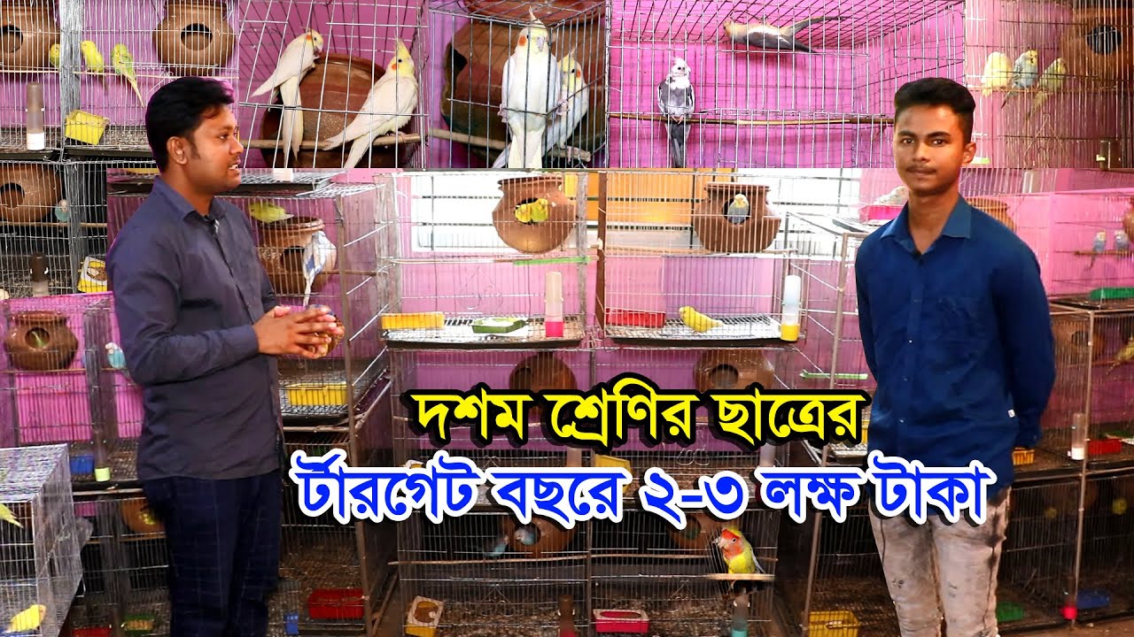 বিদেশি দামী পাখির খামার | পাখি পালন করছে ১০ম ছাত্র- বছরে র্টারগেট ২-৩ লক্ষ টাকা | পাখি পালন পদ্ধতি