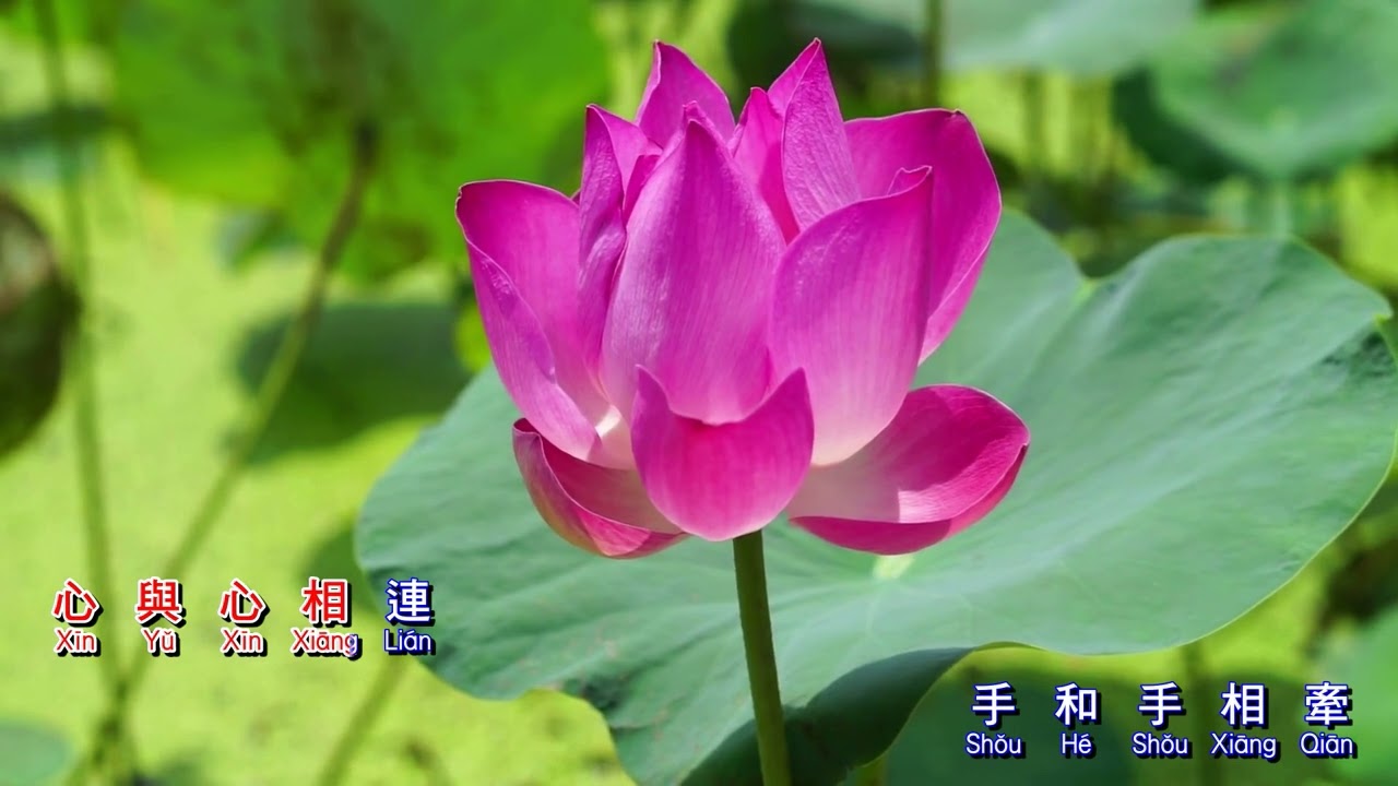 心手相連 Unir corazon con mano