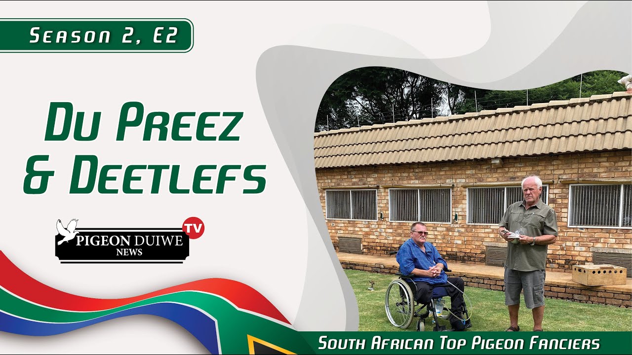 Pigeon Duiwe News TV- Du Preez & Deetlefs - SA Top Pigeon Fancier. S2: E2