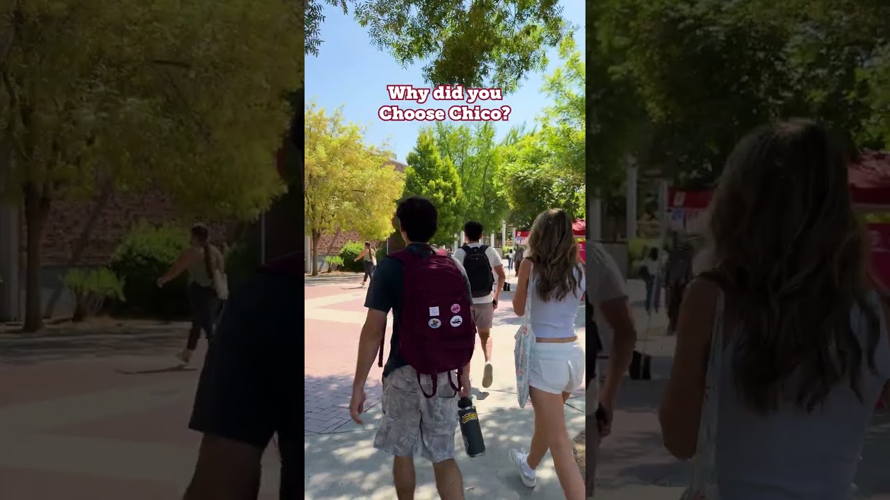 Apply to Chico State today! Apps are now open. 🐾♥️
