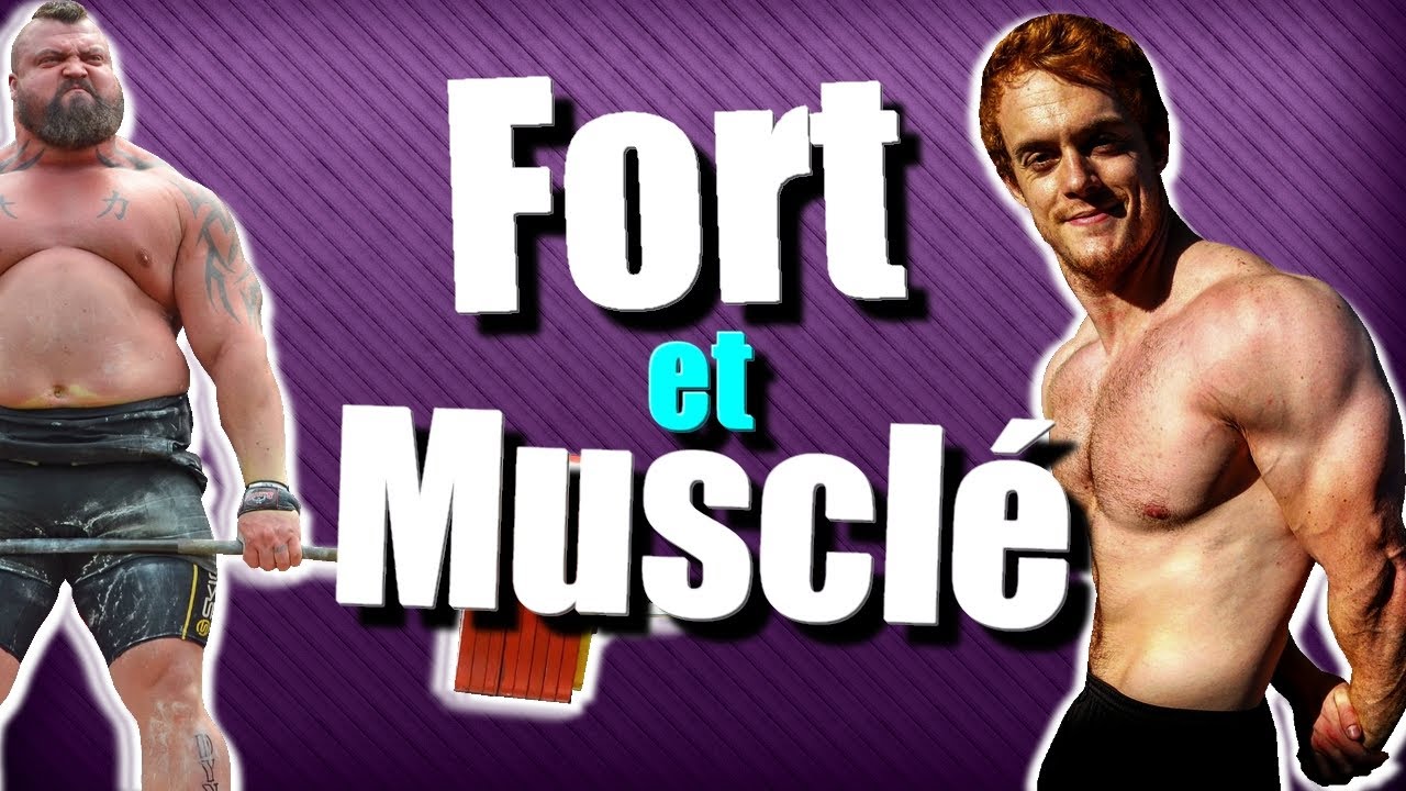 CYCLE DE PROGRESSION : Devenir Fort et Muscl&eacute;