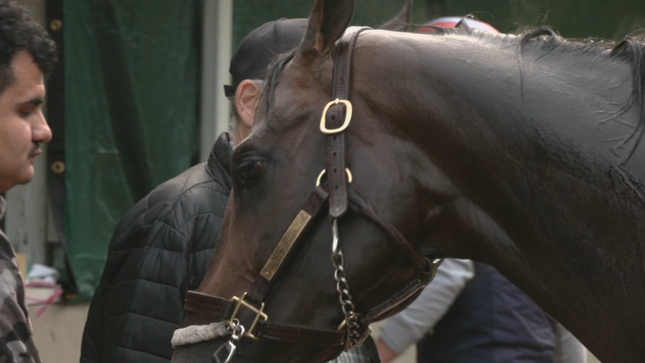 Underdog Coal Battle is first Derby starter for track veteran trainer