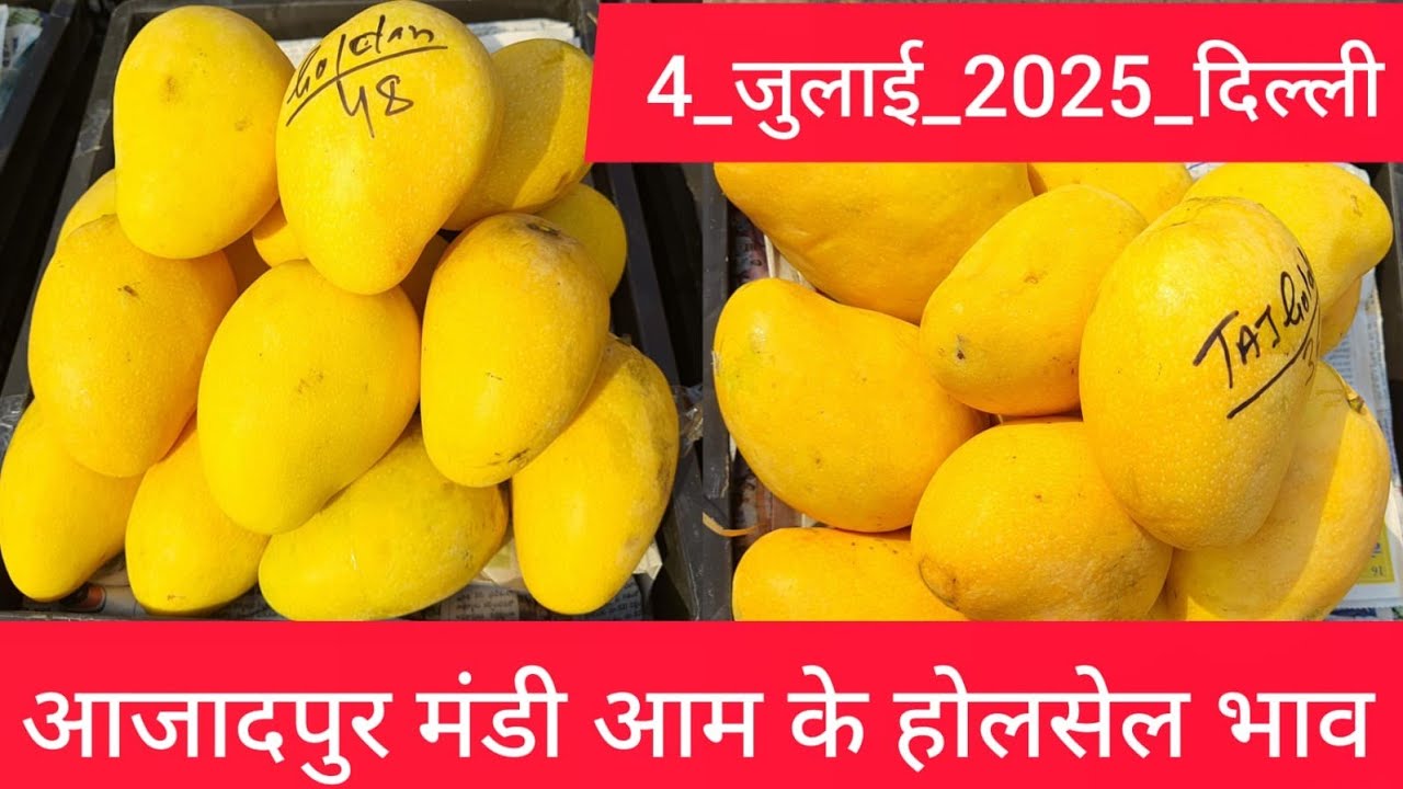 4 July 2025 दिल्ली 🥭 आम के भाव Azadpur delhi mandi today mango market price fruitmarket #mangoprice